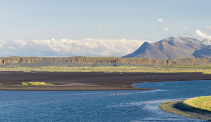 Harbor seal at Hunajordur. Landscape on peninsula Vatnsnes in northern Iceland. © Danita Delimont