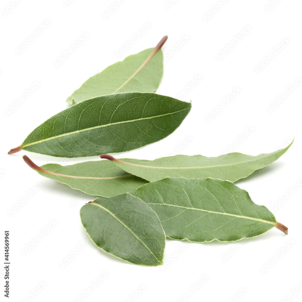 Wall mural Aromatic bay leaves