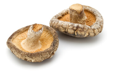 Dried Shiitake Mushroom isolated on white background