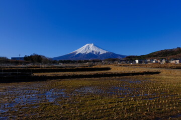 Naklejka premium 20210216富士吉田から青空快晴の富士山