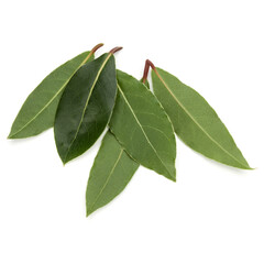 Obraz premium Aromatic bay leaves