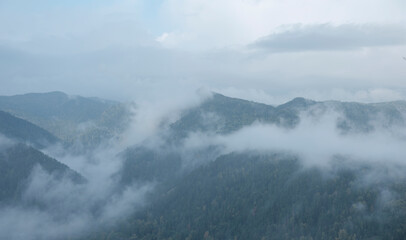 Mountains in the early morning in autumn. Wet fog. Coniferous green forest. Areas of deciduous forest with yellowed foliage.