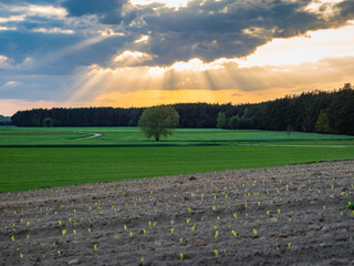 Podlasie. Podlachia. Poland, Europe.