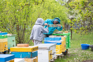 child broadcasting online from apiary. Dad and son on the apiary. Family agribusiness. boy records...