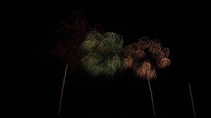 flower isolated on black