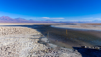 Paisaje contemplativo de la Laguna Chaxa en San Pedro de Atacama, CHile