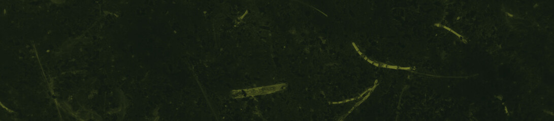 abstract black and dark green colors background for design