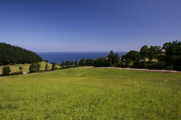 Green Meadow Costa Verde Atlantic Atlantic Ocean Coast At Mutriku Basque Country Northern Spain Spain Europe