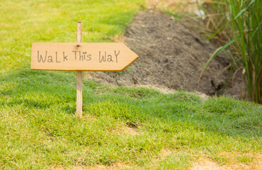 Walk this way sign writing on wooden label sign placing on the lawn in the garden shows concept of guidance, support and coaching for showing path way for success in job and working life