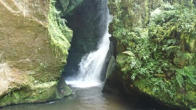 Beautiful waterfall in green forest and vegetation.  Tilt down shot
