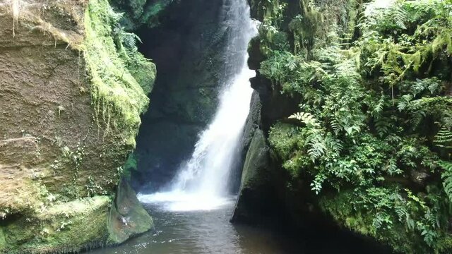  Captivating beauty of a waterfall in the jungle, sunny day. Zoom out 