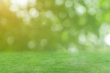 Green grass and blurred bokeh nature background.