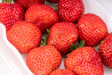 Fresh white strawberry, Japan fresh white strawberries.