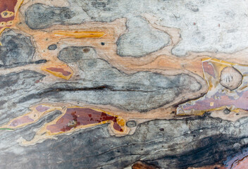 Wallpaper of wood planks with fungus. Causing strange patterns