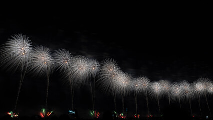 fireworks in the sky
