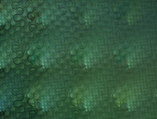 Imaginatory fractal background Image