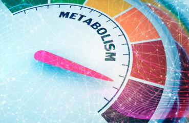 Metabolism level scale with arrow. The measuring device icon. Sign tachometer, speedometer, indicators. Infographic gauge element. 3D rendering