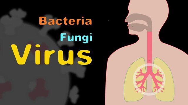 A video showing the process of bacteria, fungi, and viruses entering the human body.