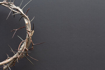 close up crown of thorns on black background