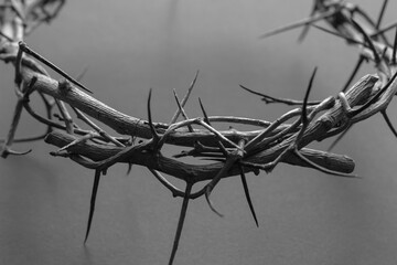 black and white crown of thorns