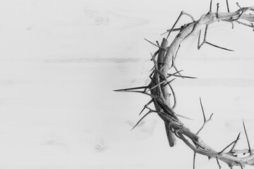 black and white crown of thorns