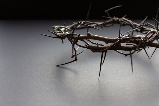 Close Up Crown Of Thorns On Black Background