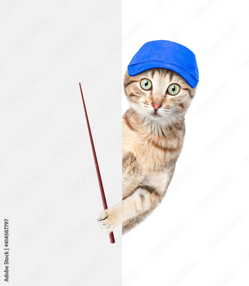 Poster Cat wearin a blue cap holds a pointing stick and points on empty white banner. isolated on white background