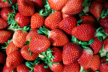 Fresh, colorful and delicious strawberries 