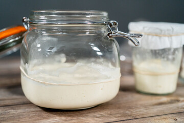 Sourdough starter