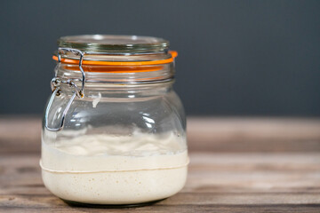 Sourdough starter