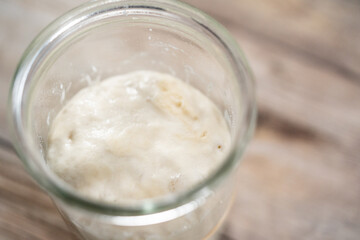 Sourdough starter