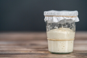 Sourdough starter