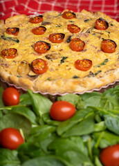 Quiche with tomatoes with green leaves in foreground