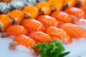 fresh salmon sushi for eat