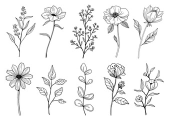 Floral line art