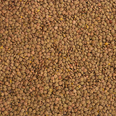 Traditional Turkish domestic green Lentil. Lentil background. Flat layout.