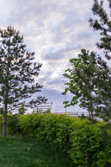Flower bed and walkway in the park. Landscape.