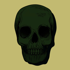 Skull  vector illustration digital drawing 
