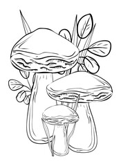 Mushrooms. Coloring, clip art, line art. Vector isolated illustration.