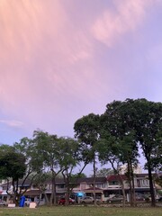rainbow in the park