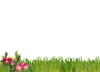 grass and flowers bouquet ​with clipping path 