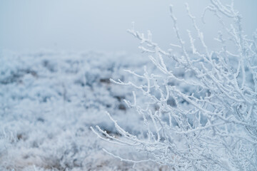 Winter in Big Bend National Park, Texas!