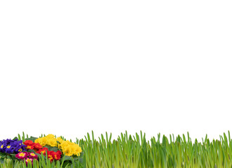 grass and flowers bouquet​ with clipping path 