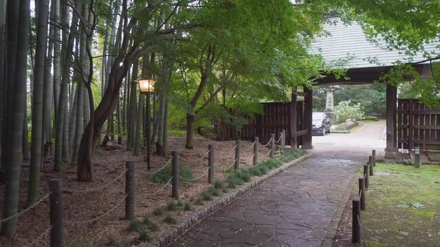 In many Buddhist temples in Japan there are bamboo forests that are ideal shelters to find a cool environment in hot summers.