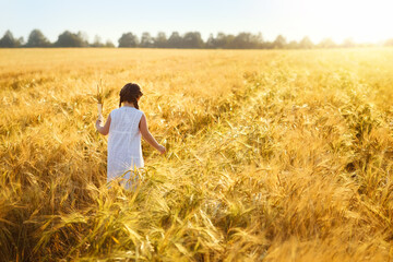 Naklejka na ściany i meble A girl in a white sundress stands with her back to the camera on a field of ripe wheat in the rays of the setting sun. Wheat ear. Rye ears. Selective focus. Setting sun. Walk in the rye field.