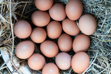 Hen ,chicken eggs basket on the hey.Fresh Chicken Rooster Eggs on Hay at Local Farmer Market