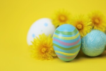 Easter holiday.Blue striped and white Easter eggs, yellow dandelion flowers on a  yellow background.Spring religious holiday background. copy space. 