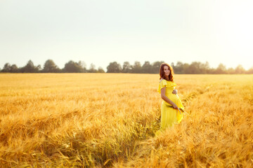 Pregnant expectant mother in a yellow dress and dark curly hair in a wheat field with ears of wheat in her hands at sunset. Copyspace