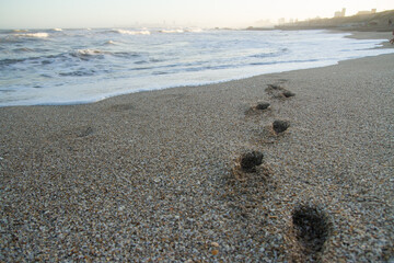 Fototapeta na wymiar Footprints on the beach shore