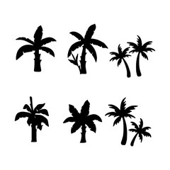 Isolated palm tree on the white background. palm Tree silhouettes. Tree hand drawn. Vector EPS 10.